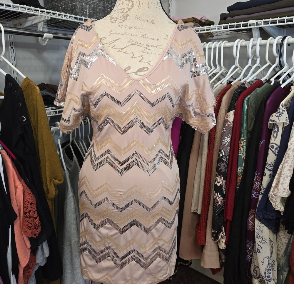 Sequin Short Sleeve Dress